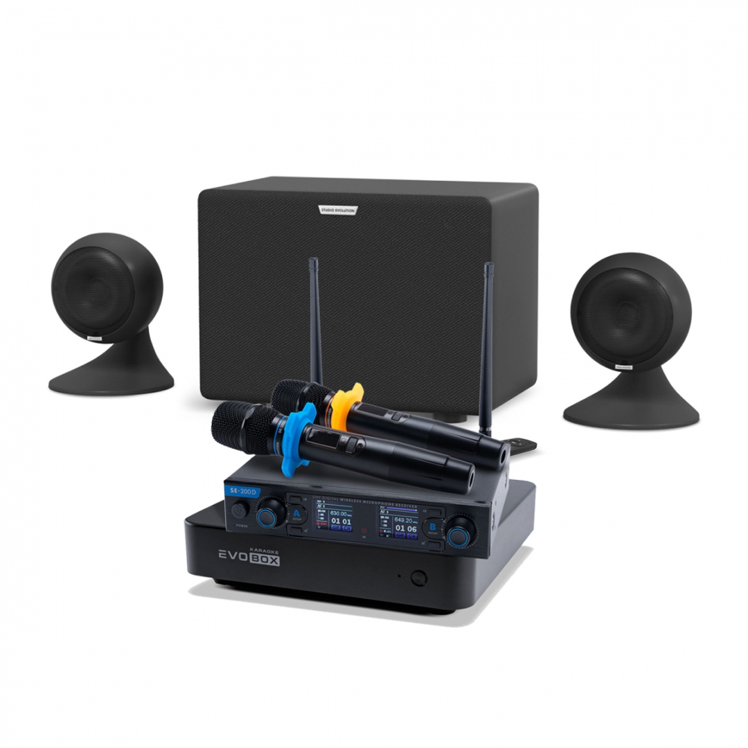 караоке-комплект EVOBOX + EvoSound Sphere 2.1 в Владикавказе