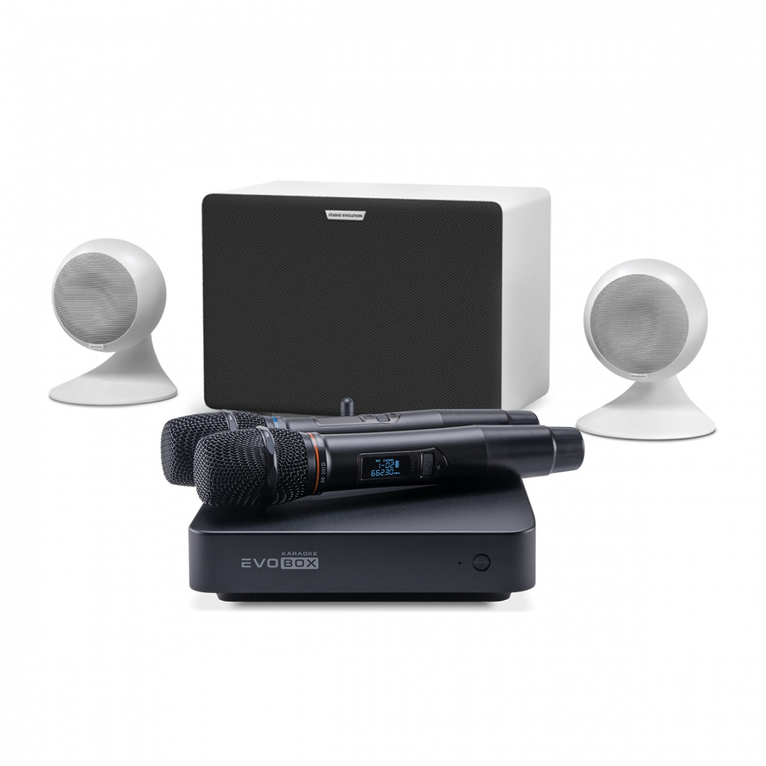 караоке-комплект EVOBOX Classic + EvoSound Sphere 2.1 в Владикавказе
