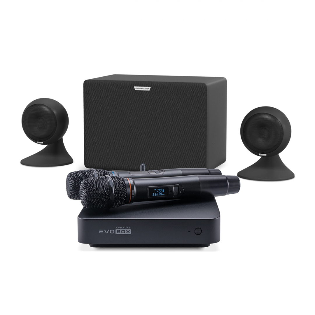 караоке-комплект EVOBOX Plus + EvoSound Sphere 2.1 в Владикавказе