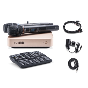 EVOBOX Classic караоке-система для дома в Владикавказе