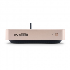 EVOBOX Plus караоке-система для дома в Владикавказе